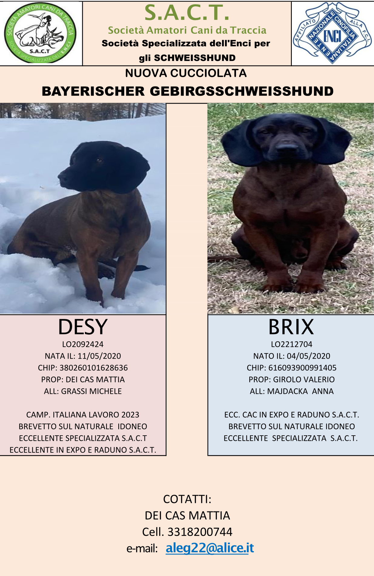 cucciolata di Desy