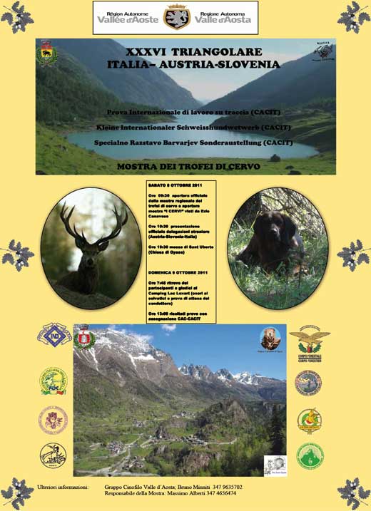 Ingrandisci Locandina Triangolare