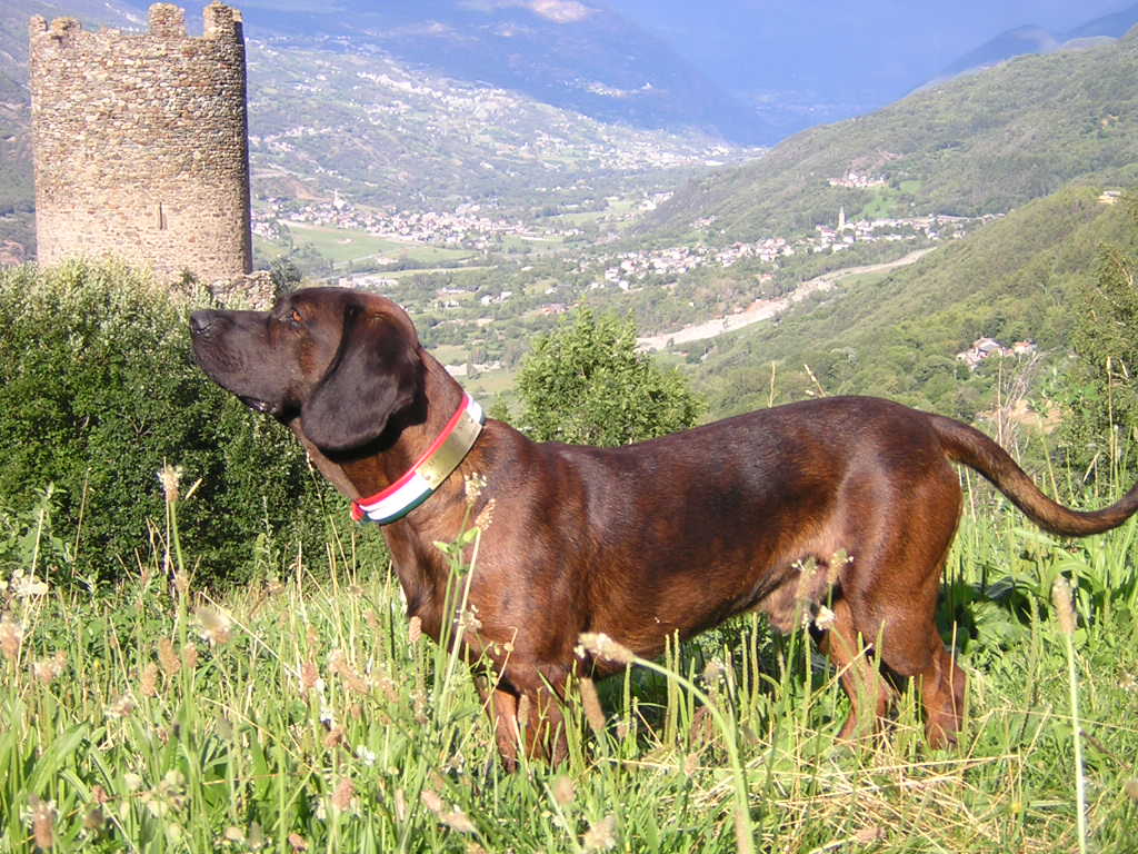 clicca qui