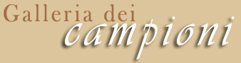 galleria dei campioni